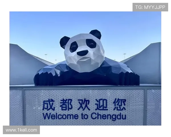 成都与杭州极限运动队赛后状态分析与表现对比