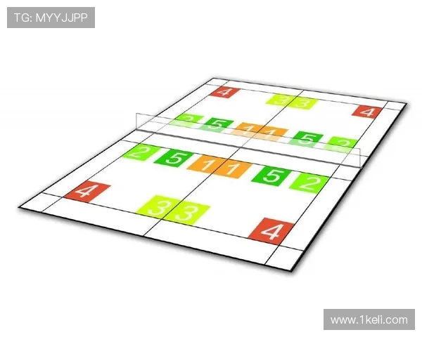 西安羽毛球队的战术转型与成绩波动分析